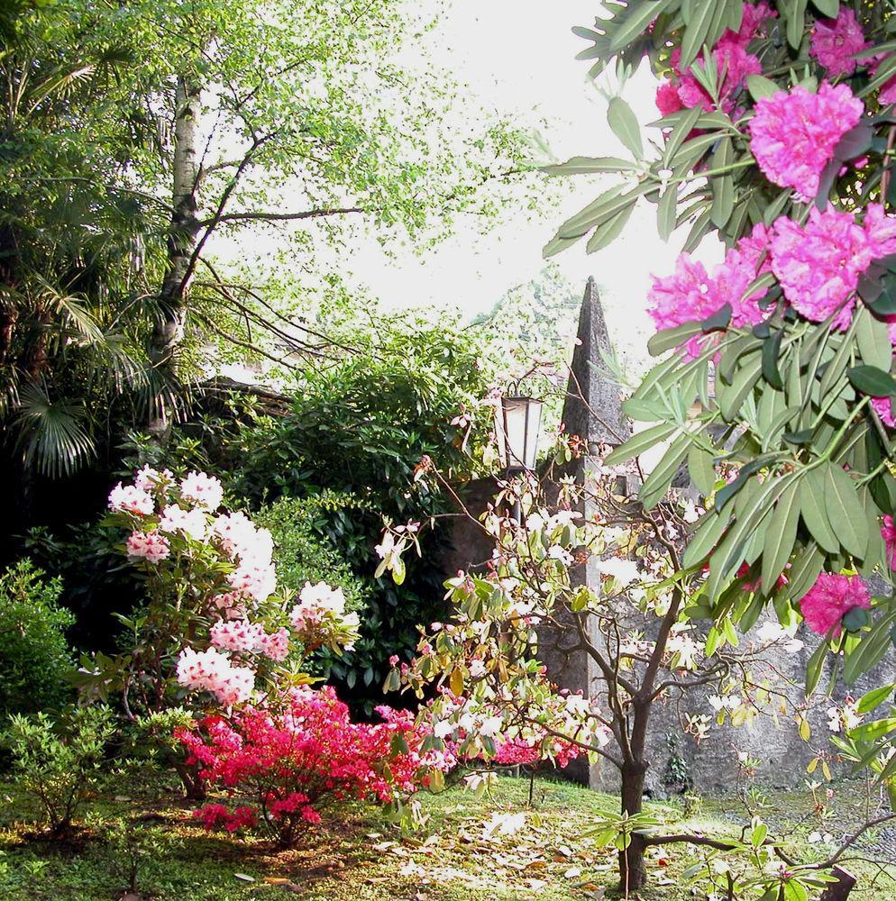 Du Parc Hotell Lake Maggiore Eksteriør bilde