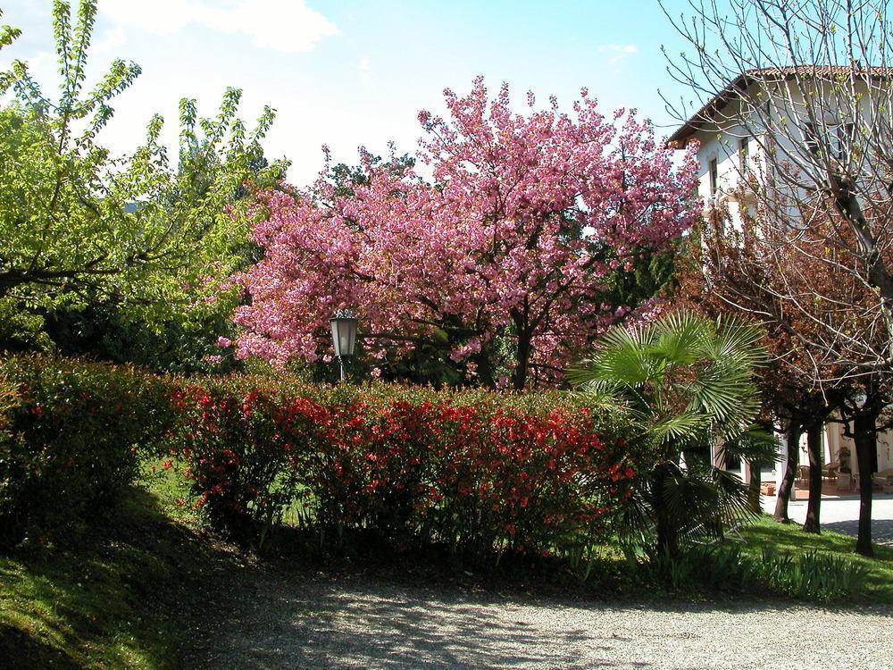 Du Parc Hotell Lake Maggiore Eksteriør bilde