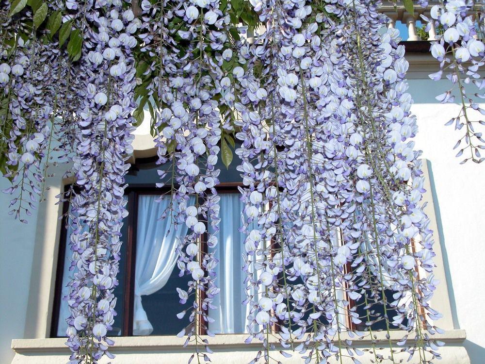 Du Parc Hotell Lake Maggiore Eksteriør bilde