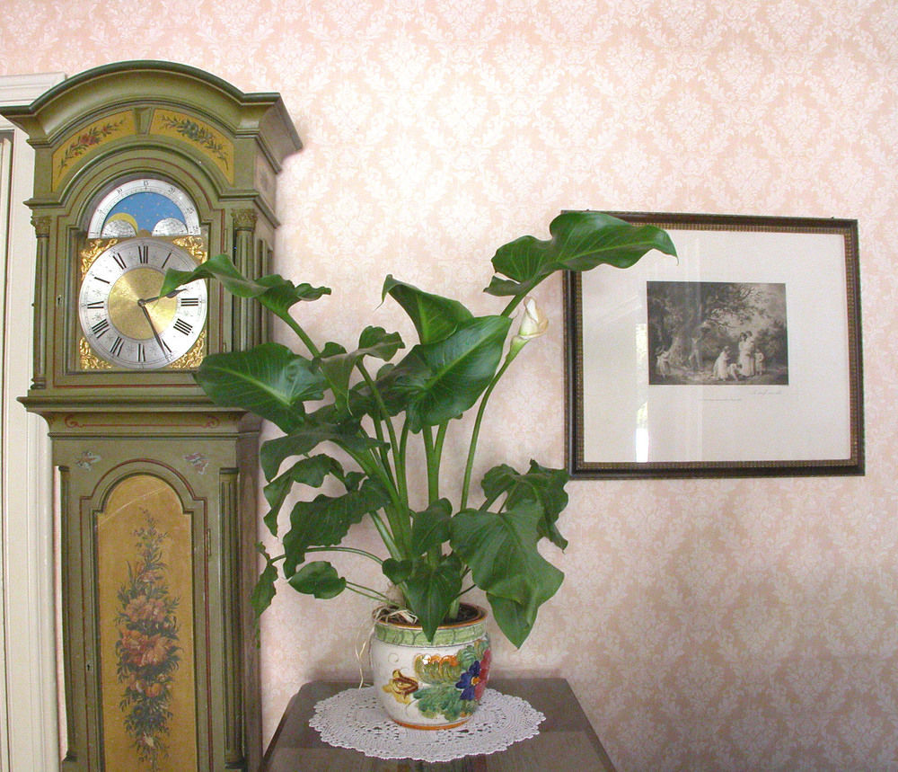 Du Parc Hotell Lake Maggiore Eksteriør bilde