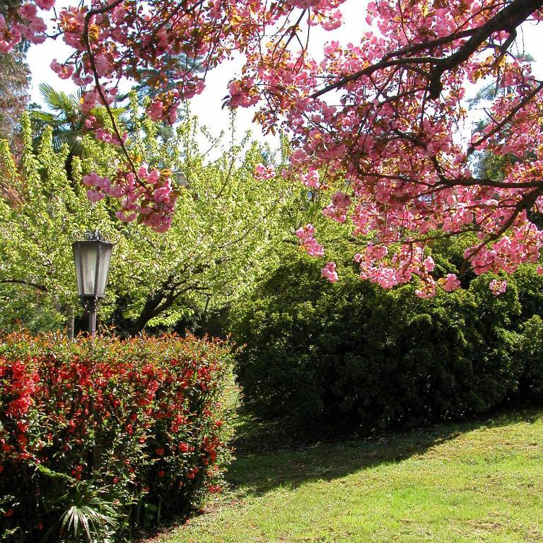Du Parc Hotell Lake Maggiore Eksteriør bilde