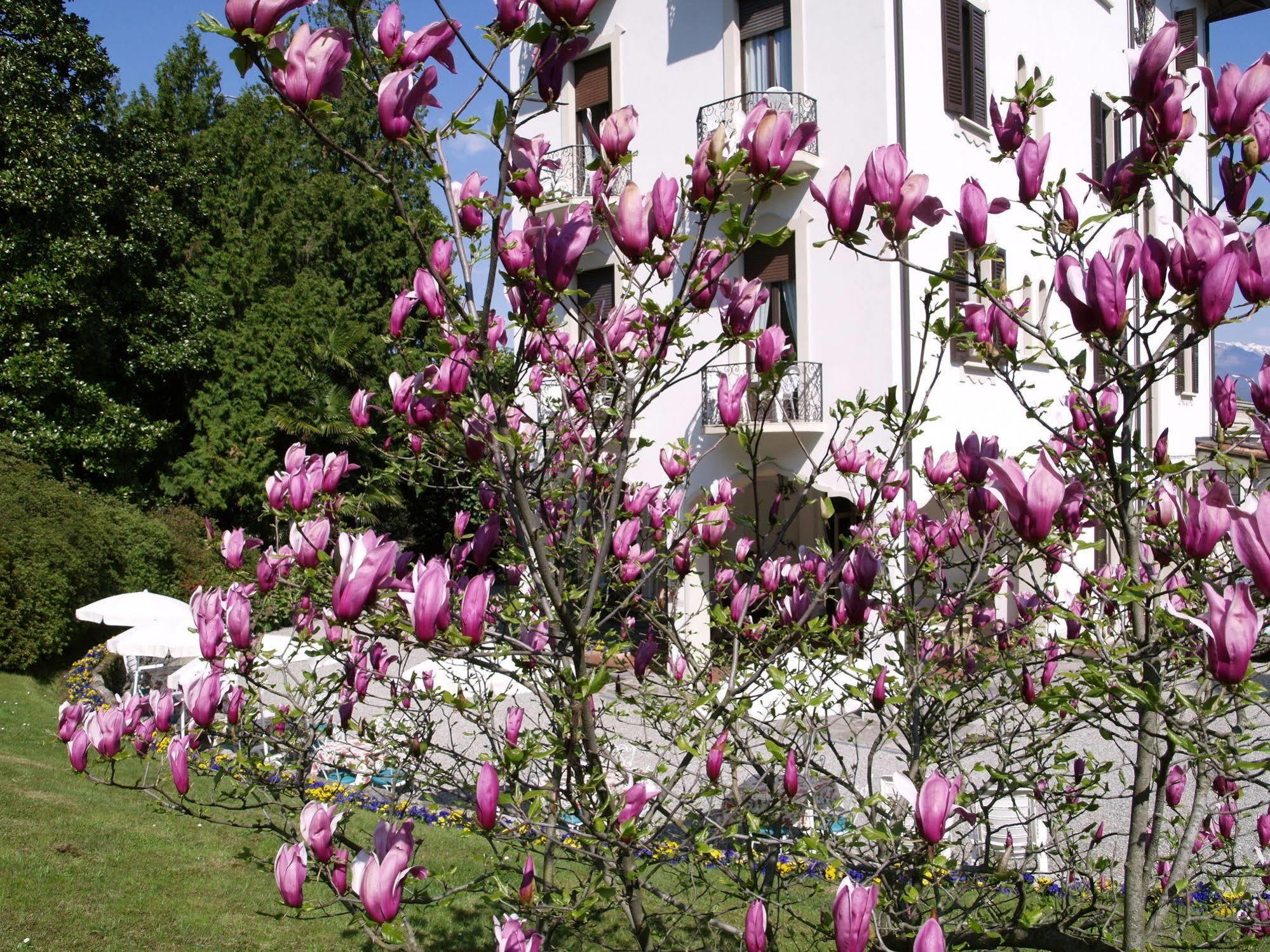Du Parc Hotell Lake Maggiore Eksteriør bilde
